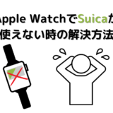 【検証済】Apple Watchに登録したSuica番号が変わっているときの対処法｜Suica IDの確認方法