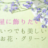 リアルなPRIMAのフェイクグリーンで高級感を演出｜お世話が苦手・虫嫌いでも部屋に植物を飾る方法